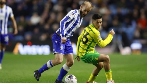 Sheffield Wednesday battle back to snatch late draw with Norwich
