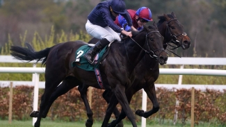 Battle Cry swoops late for Leopardstown honours