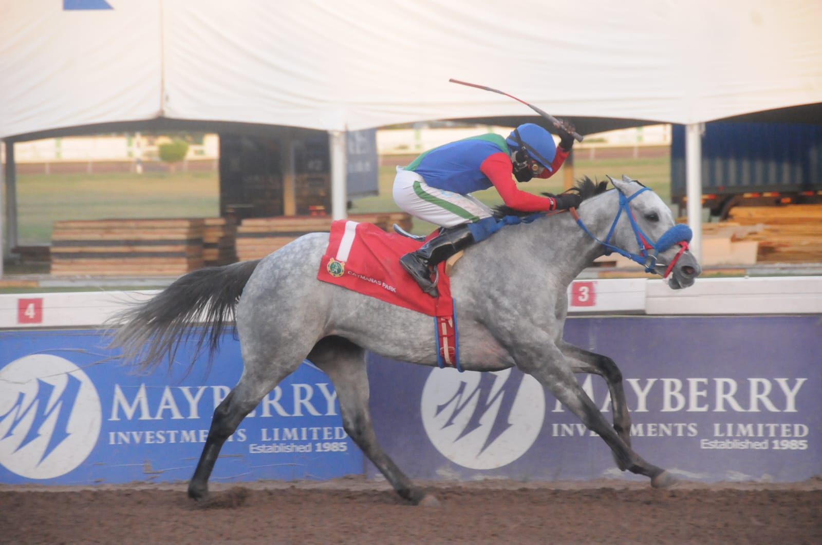 Run Julie Run outclasses rivals in Miracle Man Cup at Caymanas Park