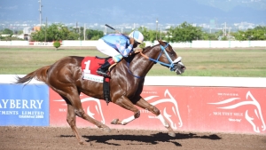 She’s My Destiny completes hat-trick with None Such Sprint triumph at Caymanas Park