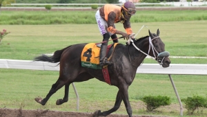 Perfect Brew too good for rivals in I'm Satisfied feature at Caymanas Park