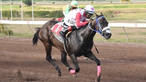 DaCosta, Lewis highlight return of live racing at Caymanas Park with double on six-race card