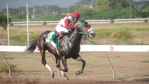 Leading rider Lewis secures another treble, including DaCosta's Is That A Fact in Arthur Jones Memorial Cup at Caymanas Park