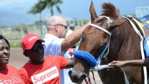 Supreme shame' - trainer 'Baba' Nunez blasts Veterinary Services Division after Supreme Soul left in limbo