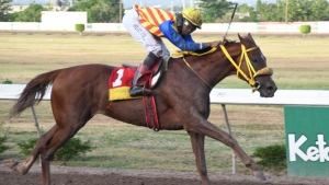 Blue Vinyl scorches the Jamaica 2000 Guineas field