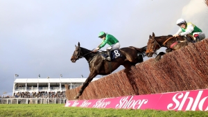 Malina Girl powers to impressive Cheltenham success