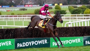 Leopardstown target for Conflated at Christmas