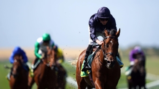 National Stakes set to be must-watch, with O’Brien colts poised for action