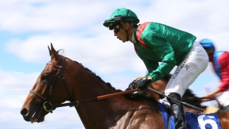 Vadeni retired to stand at Aga Khan’s stud