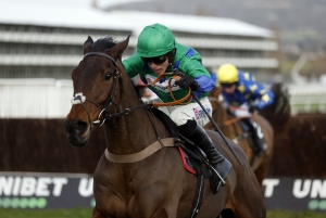 Festival calling for Cheltenham winner Destiny