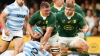 South Africa 38-21 Argentina: All Blacks take title despite Springboks win in Durban