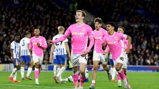 Brighton 1-1 Southampton: Seagulls up to second despite Downes leveller