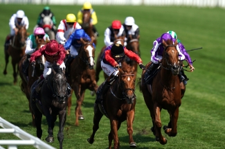 Haggas: Royal Ascot victory for the King and Queen will take some beating