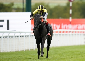 Vandeek set for Haydock reappearance in Sandy Lane