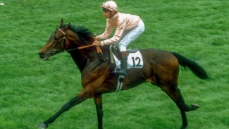Steve Cauthen and Pebbles given Hall of Fame honours
