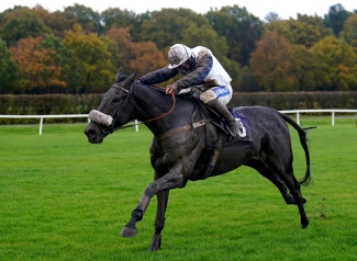 Double delight for longshot backers at Lingfield