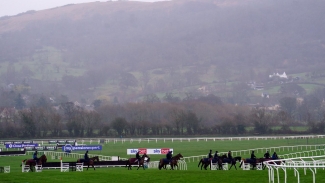 Cheltenham call morning inspection for cross-country course
