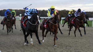 Onesmoothoperator swoops late to take November Handicap