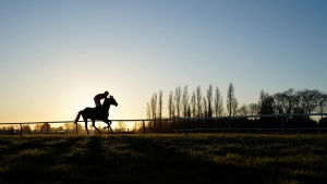 Fontwell called off early due to frozen track