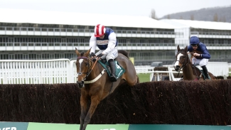 Shakem Up’Arry finds the back of the net at Cheltenham