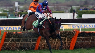 Staying star Paisley Park bows out at Cheltenham