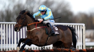 Mahler Mission given Coral Gold Cup aim