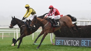 Derham eyeing Cheltenham with expensive new recruits