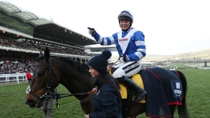 Former King George hero Frodon retired