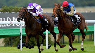 Kinross and Isaac Shelby in Knavesmire rematch