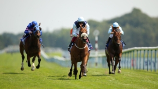 Six-furlong switch on the cards for Regional