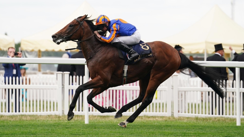 Nomination to Paddington makes 72,000 guineas in aid of Graham Lee