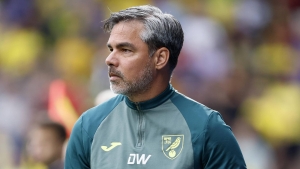 David Wagner pleased with Norwich resilience in win over Stoke