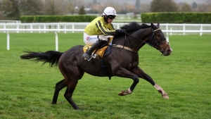 Setback scuppers Burdett Road’s Triumph Hurdle challenge