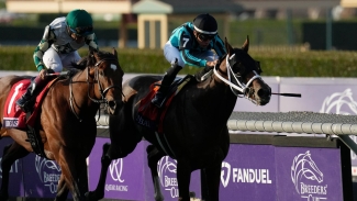 Live In The Dream goes down fighting in Turf Sprint