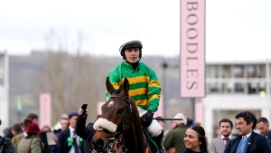 Cheltenham Festival novice chase entries include Iroko