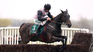 Gerri Colombe heading straight to Cheltenham