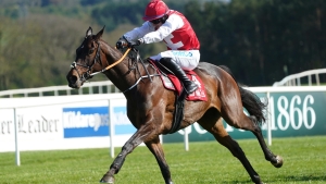 Sandor Clegane chasing first win over fences at Navan