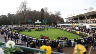 Sandown passes inspection but conditions being monitored