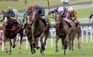 French assignments on the horizon for O’Brien duo