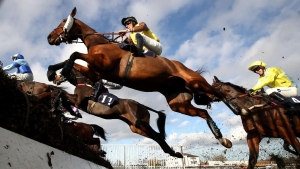 Wednesday’s jumps action subject to morning checks