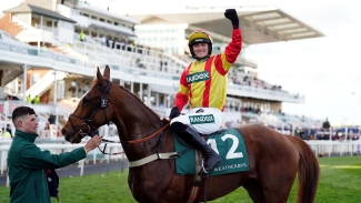Lookaway set to play leading role in Cheltenham feature