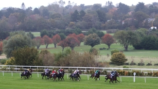 Leopardstown and Carlisle pass morning inspections