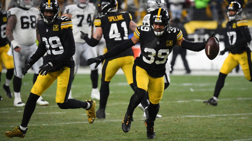 In the Hunt: Steelers Playoff Chances Still Alive, But Need Help