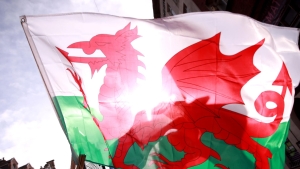Incoming Welsh Rugby Union boss says ‘we’ve got to turn this round’ after review