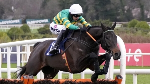 Exciting prospect No Flies On Him waiting for Punchestown