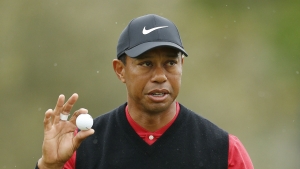 Tiger Woods in hospital: Golf superstar &#039;very fortunate&#039; to survive car crash