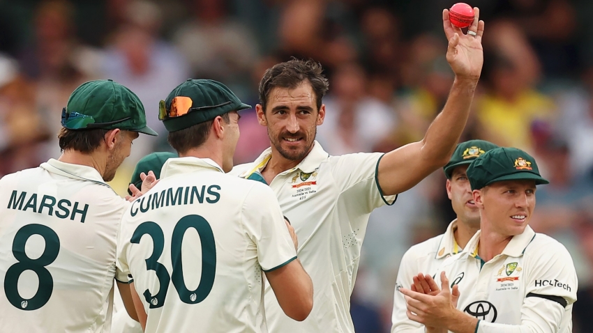 Starc hails Australia's 'grit and determination' after career-best display