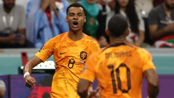 Netherlands 2-0 Qatar: Gakpo grabs another goal as Oranje top Group A