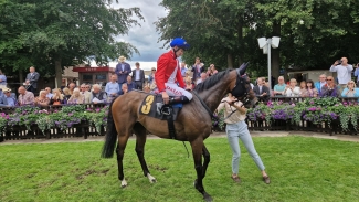 Audience proves captive viewing for Gosden at Newmarket