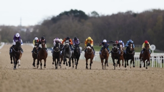 All-weather fields encouraging but jumps racing ‘short’ on numbers